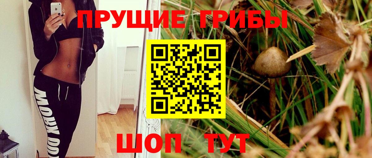 Галлюциногенные грибы ЛСД Кубинка